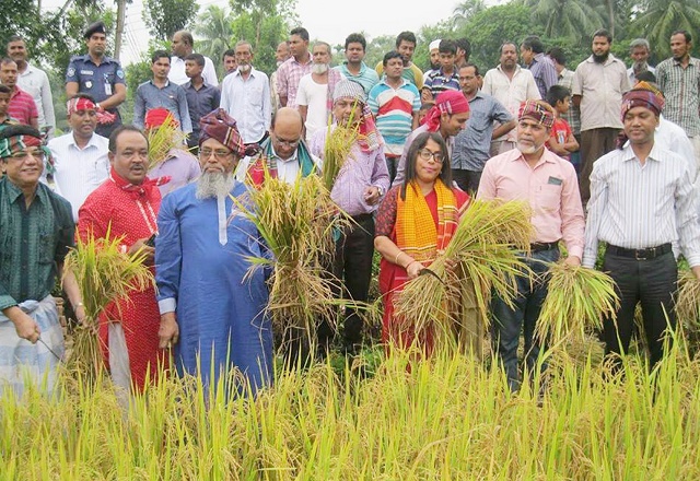 লক্ষ্মীপুরে নবান্ন উৎসব