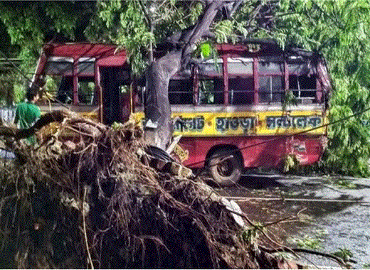 ভারতে বজ্রসহ ঝড়ে নিহত অন্তত ১১