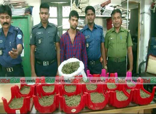 লক্ষ্মীপুর: প্লাস্টিকের মোড়ার ভাঁজে-ভাঁজে গাঁজা