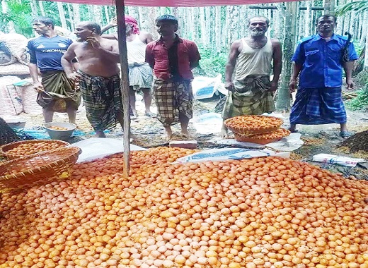 সুপারিতে নিষিদ্ধ কেমিক্যাল মিশানোর অভিযোগে আটক ২