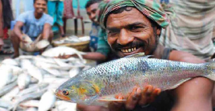 ইলিশ ধরা বন্ধ : বিজ্ঞানীদের হ্যাঁ, মৎস্যজীবিদের না
