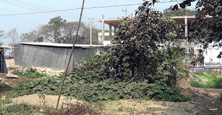 রামগঞ্জে প্রবাসীর জমিতে জোরপূর্বক দোকানঘর নির্মাণ