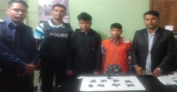 রায়পুরে ইয়াবাসহ দুই মাদক ব্যবসায়ী ধরা