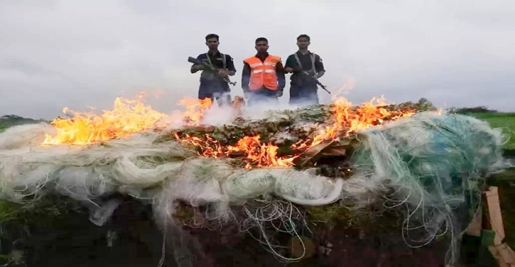 রায়পুরে ৭০ হাজার মিটার কারেন্ট জাল আটক