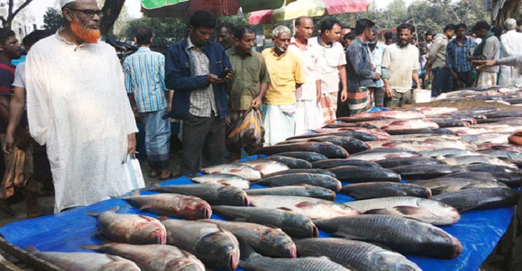 নন্দীগ্রামে নবান্ন উপলক্ষে মাছের মেলা