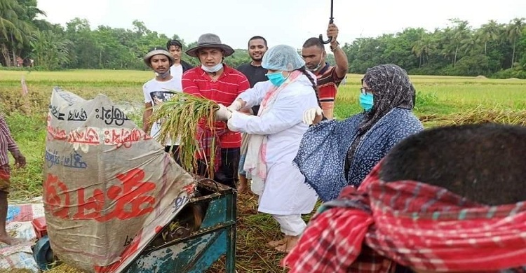 রামগঞ্জে করোনা আক্রান্ত পরিবারের ধান কেটে দিলেন ইউএনও