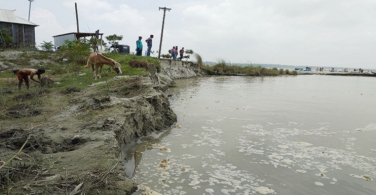 ভাঙন আতঙ্কে যমুনাপাড়ের মানুষ