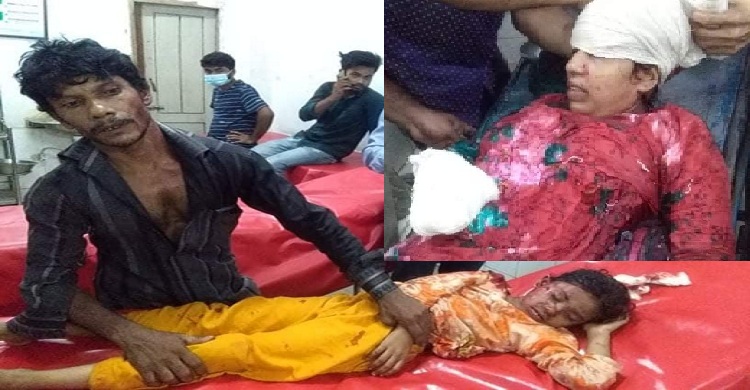 লক্ষ্মীপুরে প্রবাসীর ঘরে ঢুকে মা ও মেয়েকে কুপিয়ে জখম