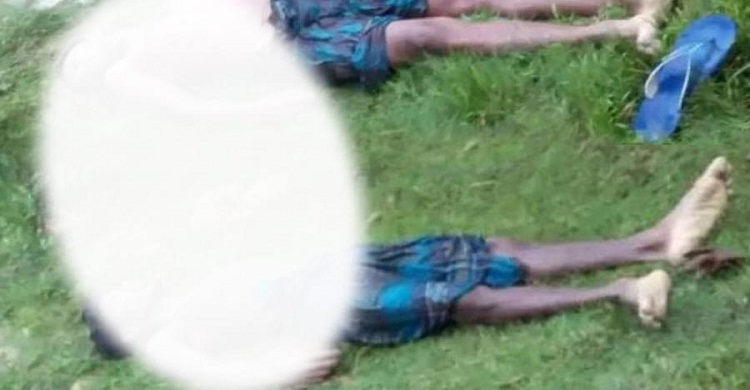 ফেনী সীমান্ত থেকে দুই ভাইয়ের মরদেহ উদ্ধার