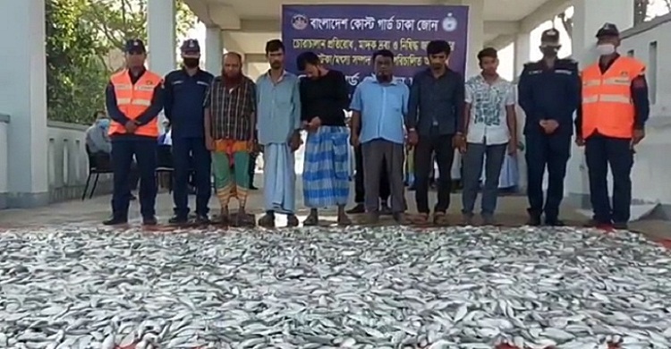 চাঁদপুরে ৪ হাজার কেজি জাটকা জব্দ, আটক ৬