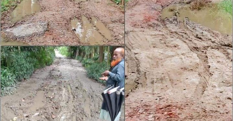 রামগঞ্জে পিচঢালা সড়ক কাঁদা মাটিতে ভরপুর!