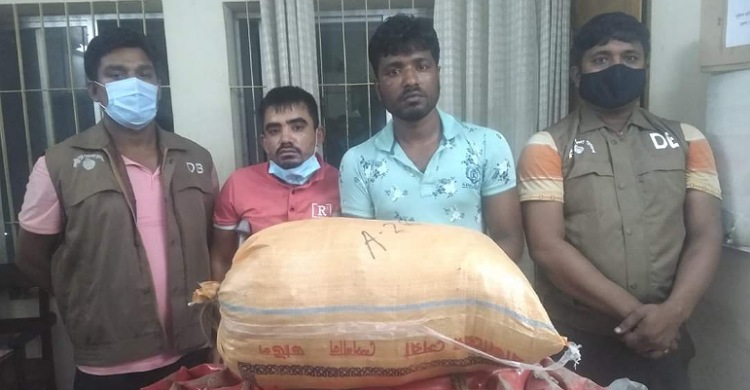লক্ষ্মীপুরে গাঁজাসহ দুই মাদক ব্যবসায়ী গ্রেফতার