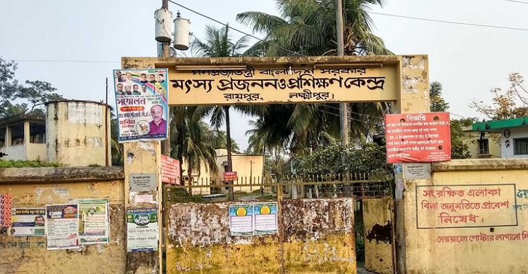 রায়পুর মৎস্য প্রজনন কেন্দ্রে রেনু-পোনা উৎপাদন ব্যাহত