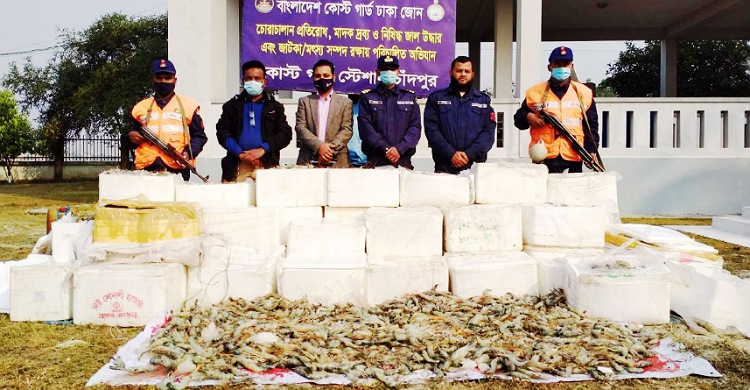 চাঁদপুরে ১ হাজার কেজি জেলিযুক্ত চিংড়ি জব্দ