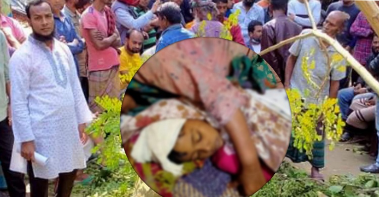 লক্ষ্মীপুরে গাছ পড়ে শিশুর মৃত্যু, আহত ৪