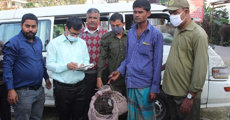 লক্ষ্মীপুরে পাখি শিকার করায় যুবকের কারাদণ্ড