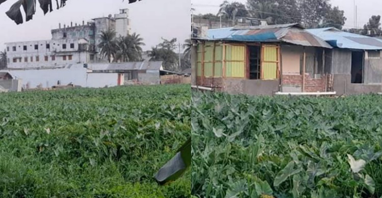মাইজদীতে সামনে উচ্ছেদ, পেছনে দখল