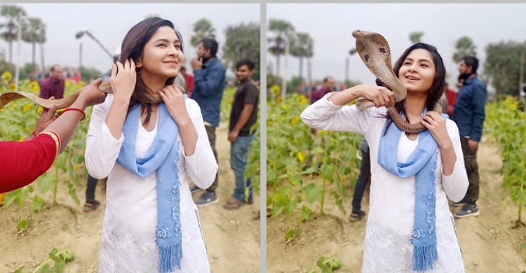 গোখরা নিয়ে শুটিং করলেন স্পর্শিয়া