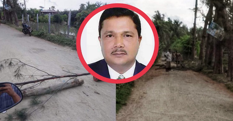 রামগতিতে সরকারি গাছ কেটে ফের বিতর্কে চেয়ারম্যান
