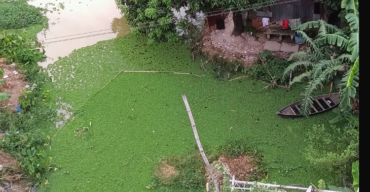 রায়পুরে পানিতে ডুবে দুই শিশুর মৃত্যু