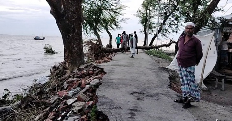 চোখের সামনে মেঘনা গিলে নিচ্ছে বাজার-ভিটেমাটি-কবর
