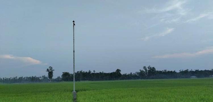 বজ্রপাত ঠেকাচ্ছে আধুনিক যন্ত্র