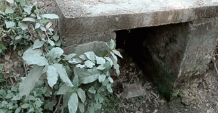 লক্ষ্মীপুরে মাটি দিয়ে কালভার্টের মুখ ভরাট, জলাবদ্ধতার শঙ্কা