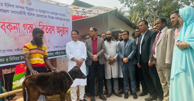 লক্ষ্মীপুরে ২০ জেলে পেলেন বাছুর