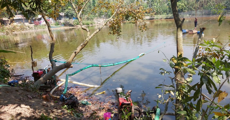 কমলনগরে মুজিব কিল্লার পুকুর থেকে অবৈধভাবে বালু তুলছেন ইউপি সদস্য