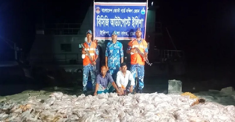 ভোলায় বিপুল পরিমাণ মাছ জব্দ, ২ জেলে আটক