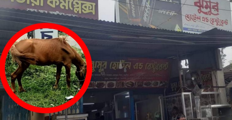 লক্ষ্মীপুরে ঘোড়ার মাংস বিক্রি: হোটেল মালিকসহ ৩ জনের নামে পরোয়ানা