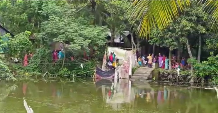 রামগঞ্জে পুকুরে ভেসে উঠেছে নিখোঁজ কিশোরের লাশ