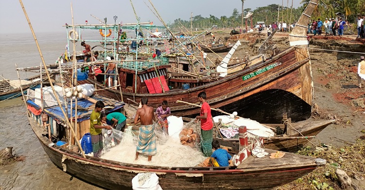 লক্ষ্মীপুরে ইলিশ মিলছে কম, দাম বেশি, নেই আগের স্বাদ!