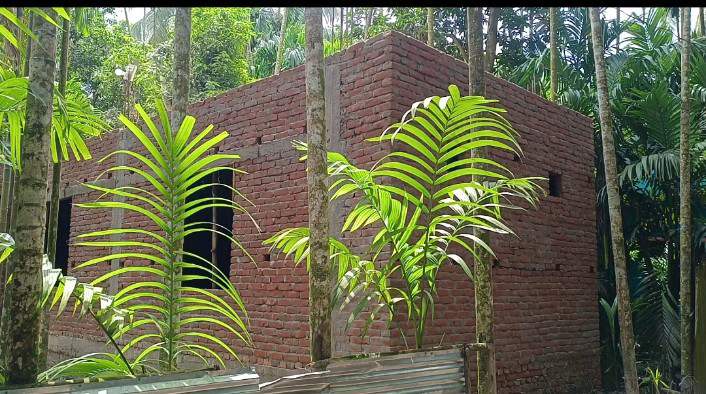 লক্ষ্মীপুরে আদালতের নির্দেশ অমান্য করে ভবন নির্মাণ