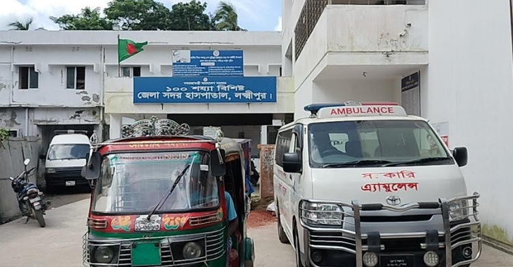 লক্ষ্মীপুরে বিদ্যুৎস্পৃষ্টে শ্যালক-ভগ্নিপতির মৃত্যু