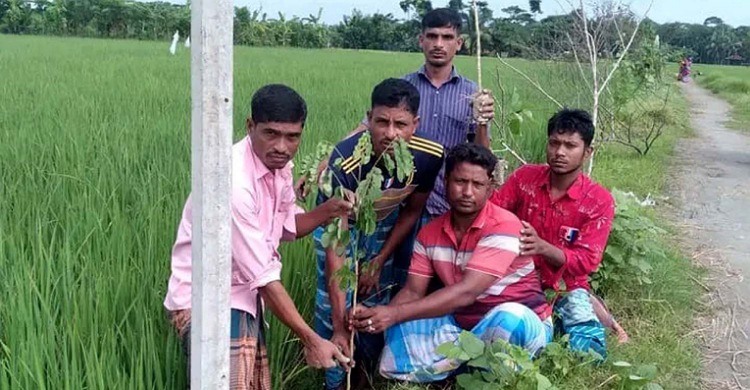 লক্ষ্মীপুরে জমি দখলে নিতে কৃষককে প্রভাবশালীর হুমকি