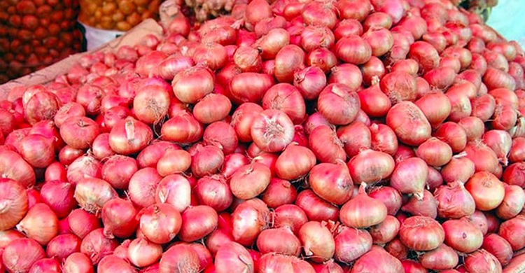 পেঁয়াজ রপ্তানি নিষিদ্ধ করল ভারত